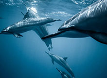 国际乒联双打世界杯将于2027年举办